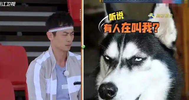 原创朱亚文在跑男一整期几乎没说话,参与度不高,还不如王嘉尔积极!