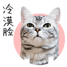 无牌上路为躲威海交警 高速逆行还弃车钻树林