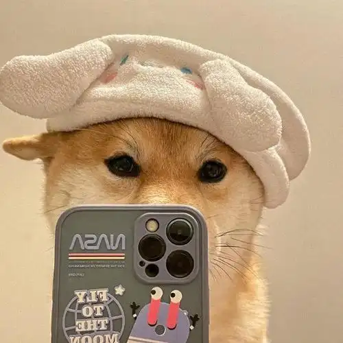 修狗自拍头像__财经头条