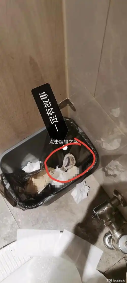 有谁知道,这只袜子到底经历了什么?|垃圾桶|境地|厕所|翘楚_网易订阅