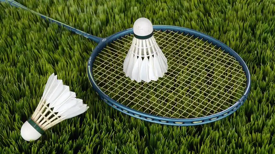 羽毛球草田-体育海报高清壁纸