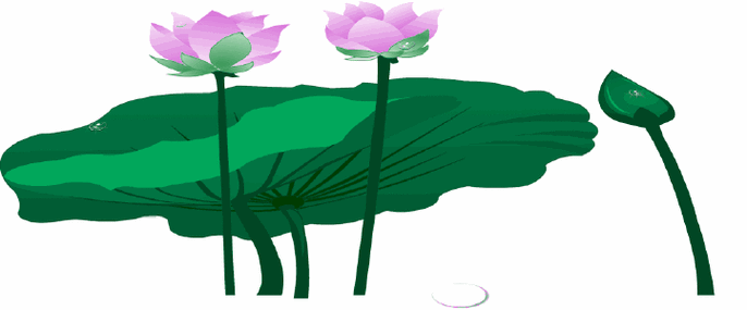 荐读|原创:又是一年荷花香