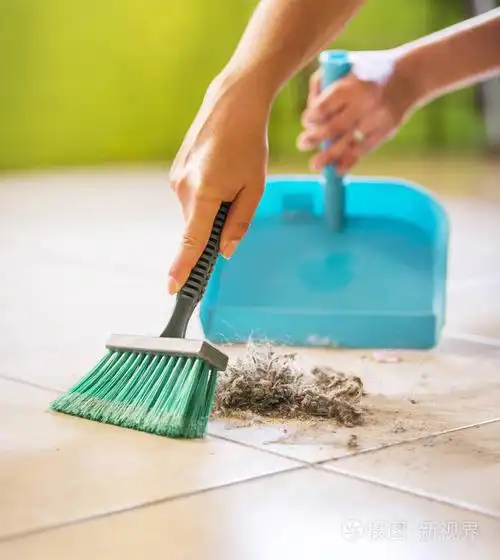 一个女人在打扫房子的时候,从地板上扫起灰尘和污垢
