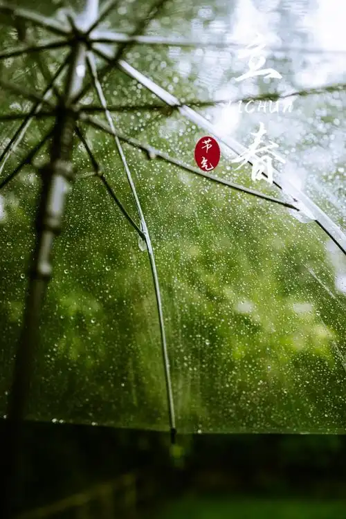 小清新立春图片