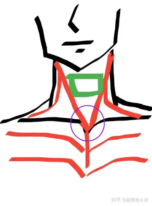 初学唱歌找胸口支点是不是很难