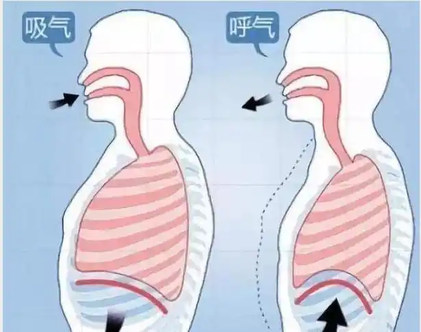 唱歌怎么用气息(唱歌怎么用丹田发音)