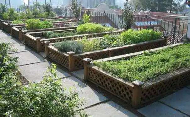 别墅庭院菜园要这么设计才好看