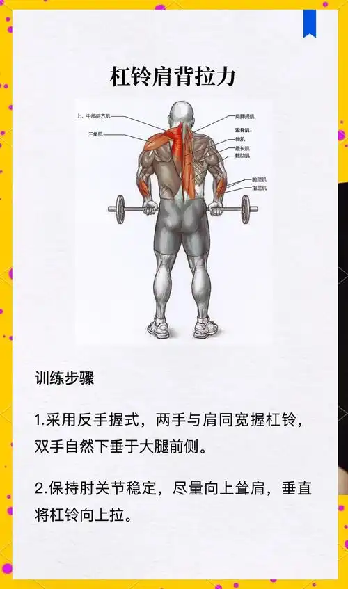 🏋️♂️斜方肌训练全攻略💪