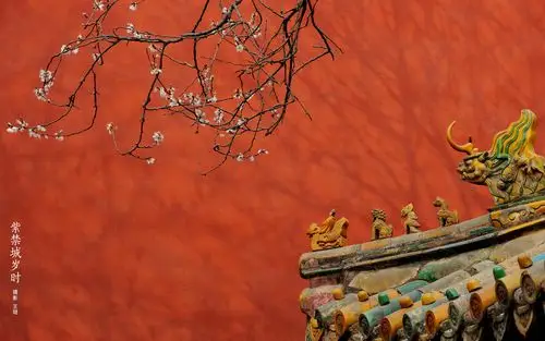 紫禁城【三月•醉春风•杏花】"几枝红雪墙… - 堆糖,美图壁纸兴