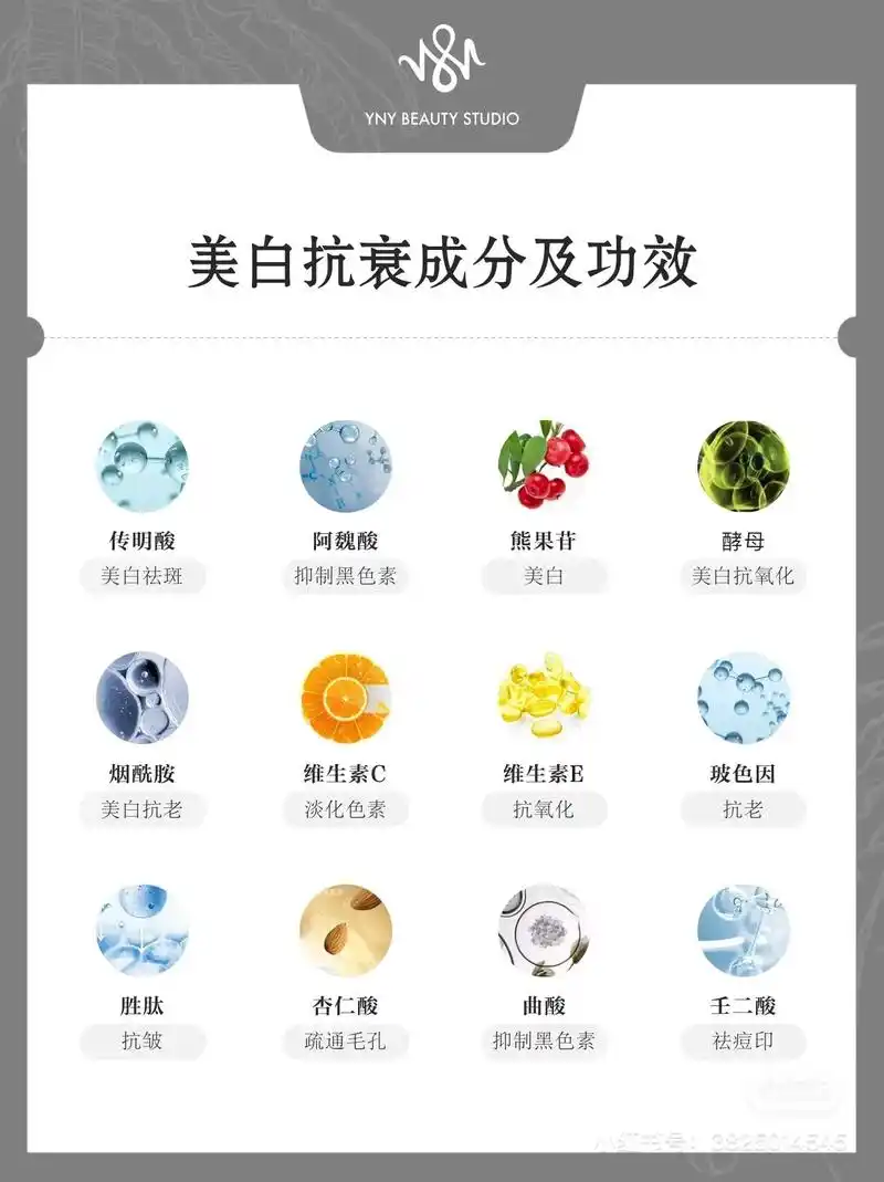 皮肤管理师必知成分护肤成分表-新手美白篇.