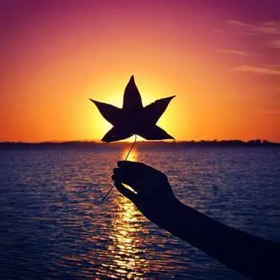 唯美意境网名找一个有气质的微信名2022已更新今日图集