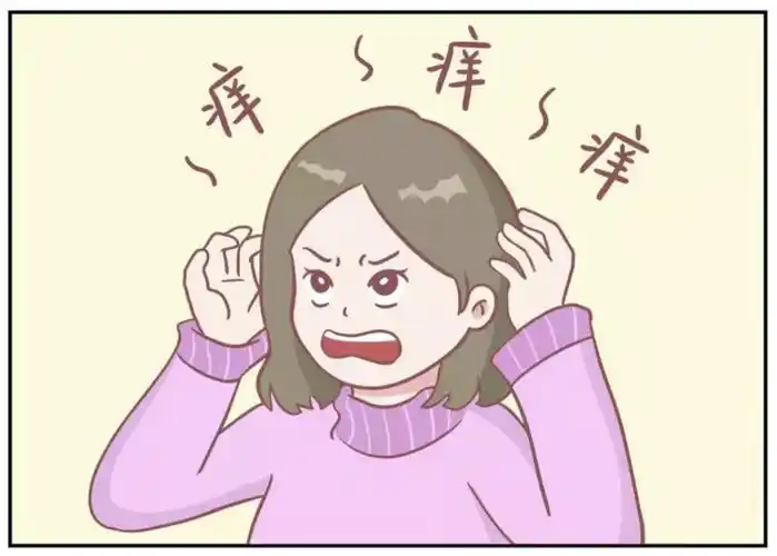 反复头屑,头痒难耐,到底怎样才能解决?