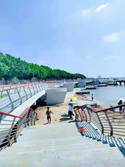 虎门这片沙滩,开放了!_区域_东莞_综合