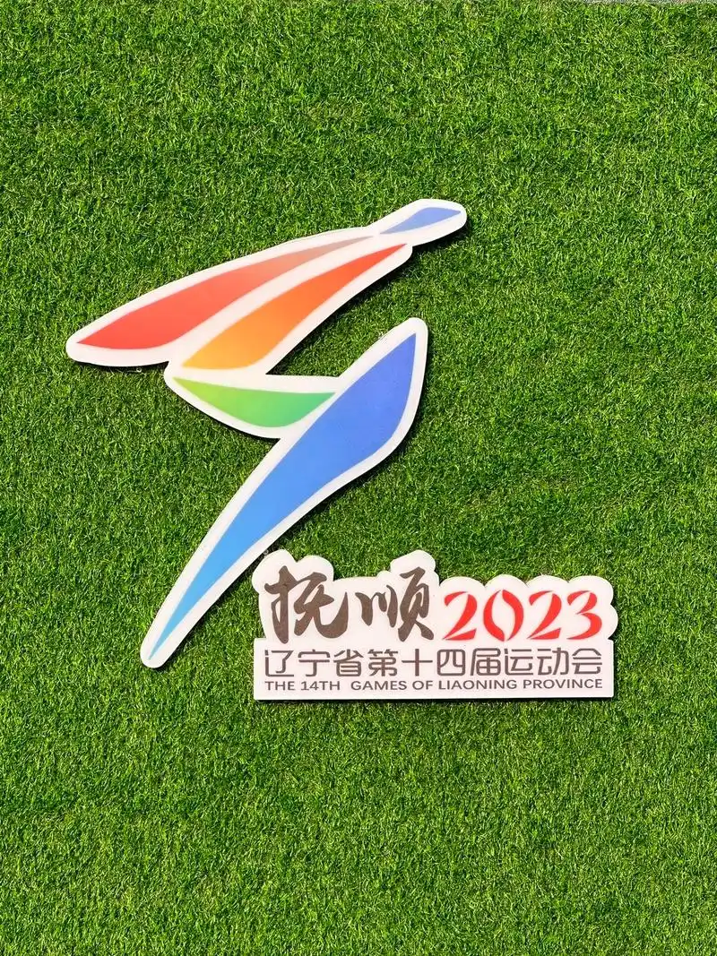 十四运开幕啦.#辽宁省运动会 #辽宁省第十四届运动会 #省运 - 抖音