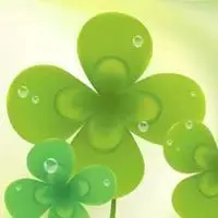 带有水珠的幸运草图片 有露珠的幸运草头像_微信头像图片大全