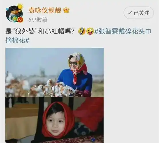 袁咏仪不愧是张智霖黑粉看老公戴头巾摘棉花称其像狼外婆