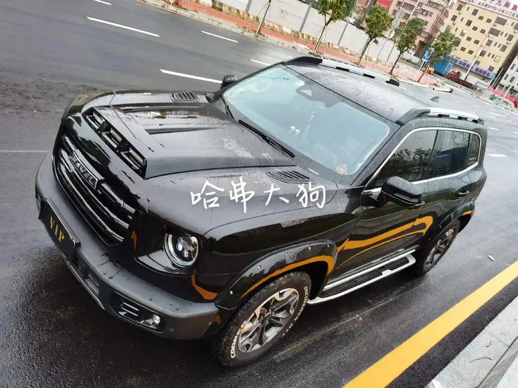 哈弗大狗改装机盖#哈弗大狗 #相当奈斯 #送自己2023一个 - 抖音