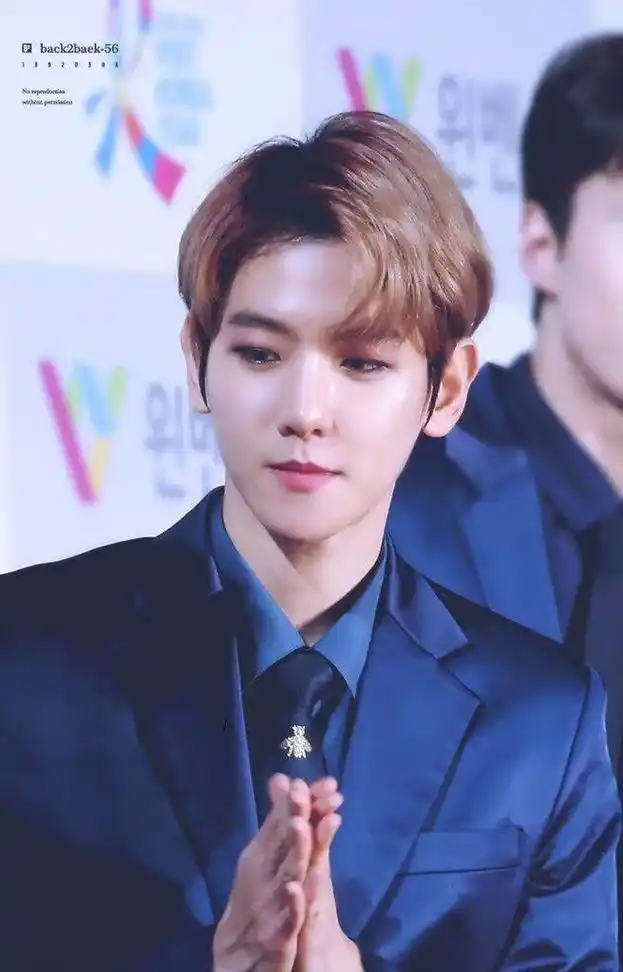 西装美男#exol #exol #边伯贤 #exo爱丽 #向 - 抖音