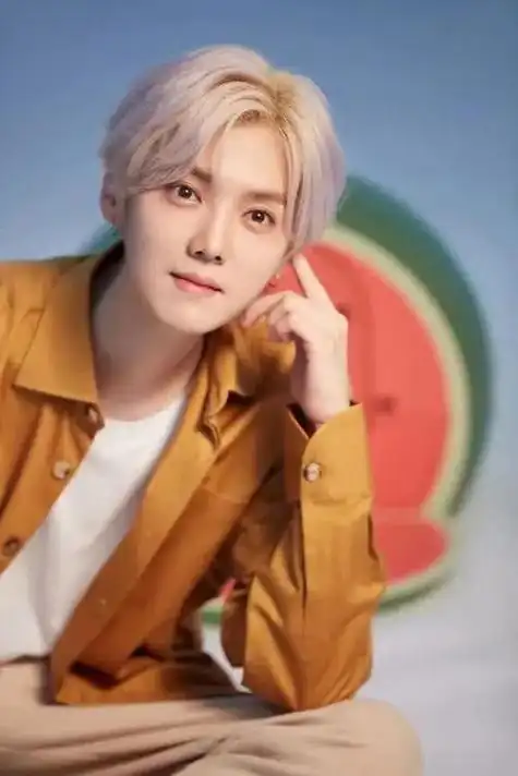 曾被视为传奇的鹿晗战绩让爱豆叹为观止如今为何沦为综艺咖