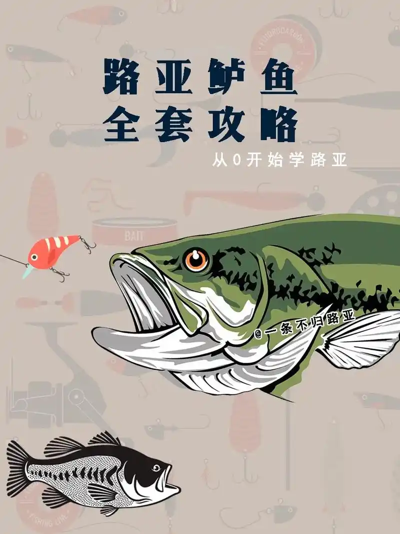 路亚鲈鱼怎么钓,学会这些.盘的黑坑老板瑟瑟发抖#路亚鲈鱼标点 - 抖音