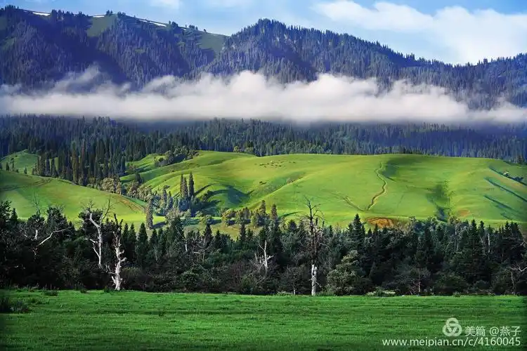 那拉提草原是新疆最著名的草原之一,也是世界四大草原之一的亚高山