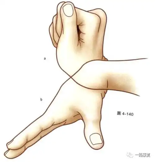 知识角上肢各关节运动大全