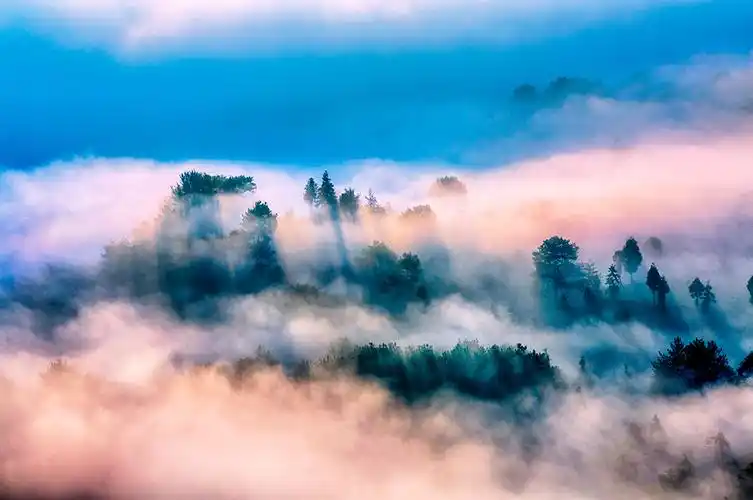 《仙雾飘来》此时,云烟四起,在晨光的照耀下,更显似天上仙境,壮观极了