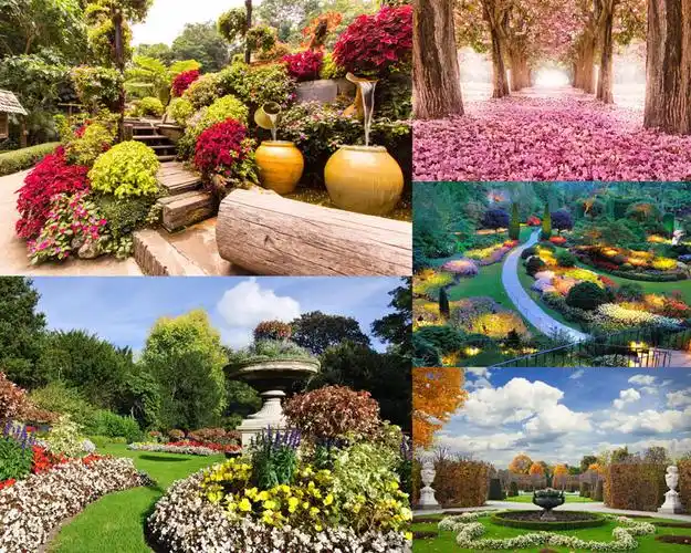 美丽的花园景观摄影高清图片