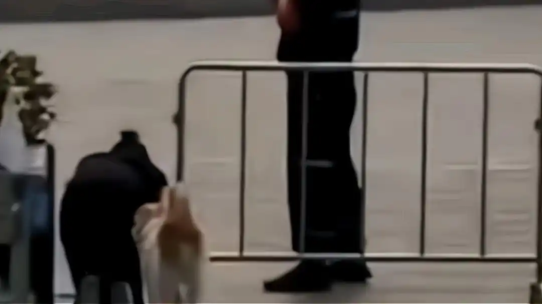 广东:女子戴项圈与狗拴在一起跪地爬行,网友:圈子不同别硬融