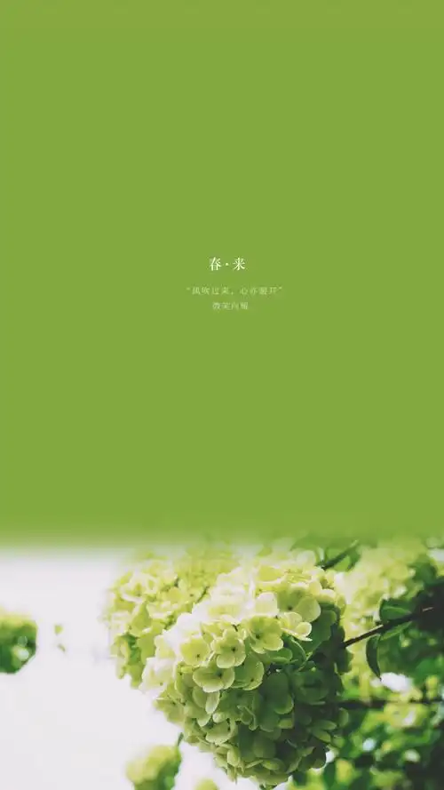 小清新壁纸原创