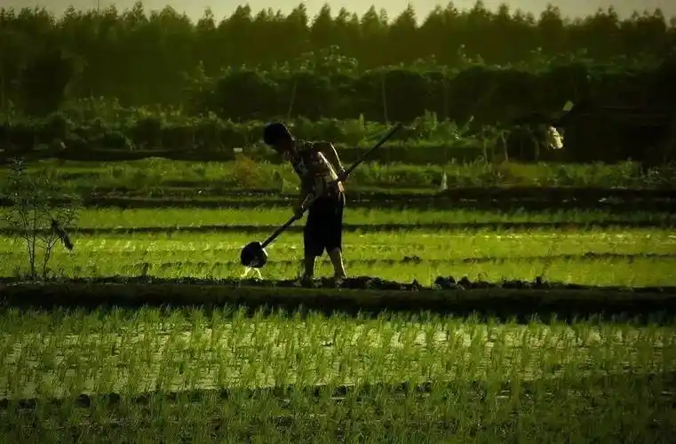 头顶烈日,汗流浃背背靠朝阳,日落而息黝黑的皮肤,憨厚的表情亲切的