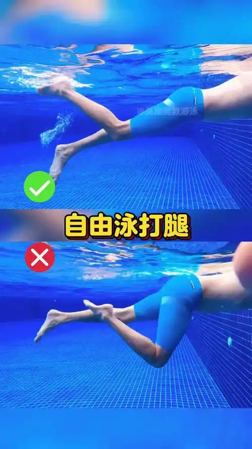 自由泳打腿正确与错误示范自由泳打腿 自由泳 教学示范 运动 日常训练