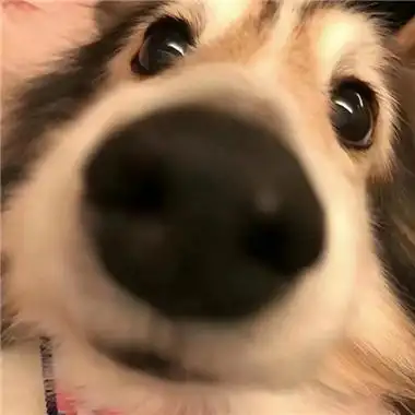 2023最新版情侣必备沙雕又可爱的情头 顶级不明显的可爱情头_情侣头像