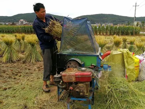 电动打谷机也能节省劳力.