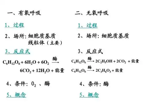 一,有氧呼吸 1,过程 细胞质基质 2,场所: 线粒体(主要) 二,无氧呼吸 1