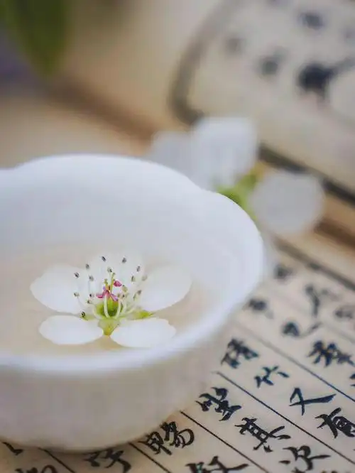 只有保持内心安静,人生才能淡然从容