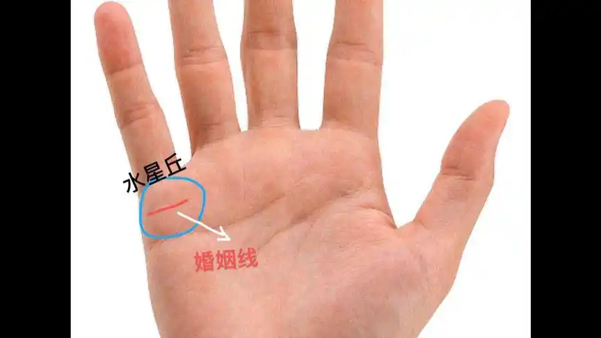 最全婚姻线解析,你属于哪一种?