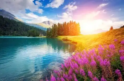 漂亮图片风景图片 漂亮图片风景图片鲜花