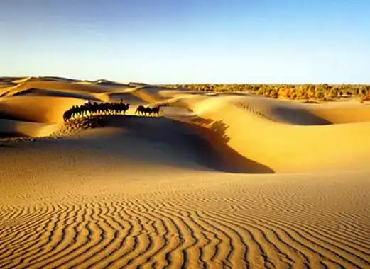 p>塔里木盆地位于中国 a href="#" data-lemmaid="132263">新疆 /a>