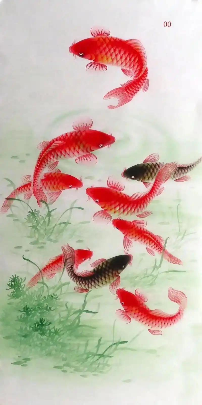 九条鲤鱼代表什么意思 - 抖音