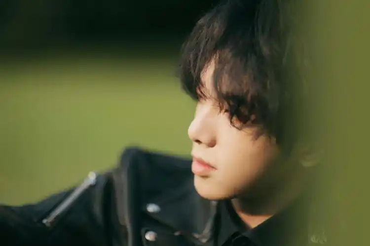 火星弟弟华晨宇,大陆明星-回车桌面