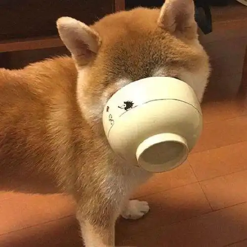 微信逗比沙雕表情包 - 搜狗图片搜索