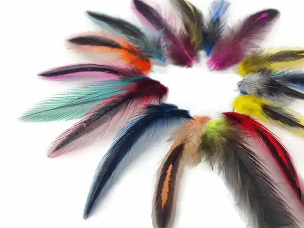 毛皮妆沛羽毛 精选优质鸡毛 diy饰品装饰羽毛 公鸡毛 混.