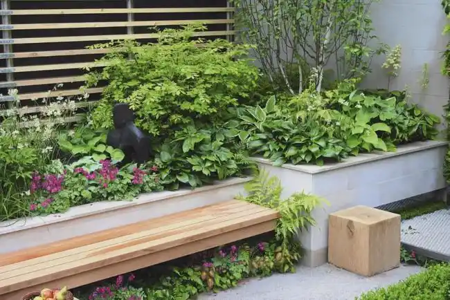 靠墙边的绿植景观太美了|植物|庭院|陪衬|花池_网易订阅