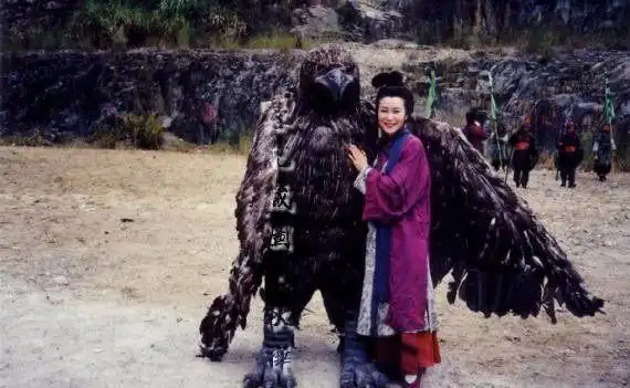 杨过的大雕最后去了哪里?隐居或者是回剑冢,最后都难逃一个下场