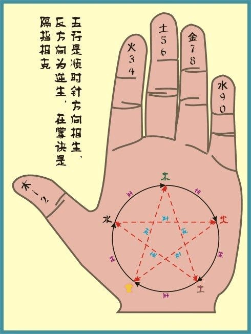 十二地支手上掌诀图