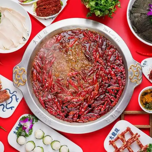 > 重庆大龙火锅
