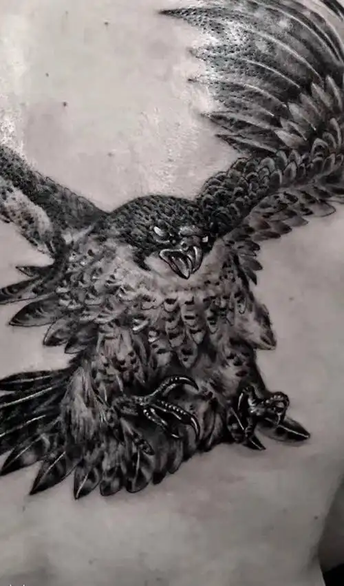 鹰纹身图片背部新传统水墨西安纹身图案