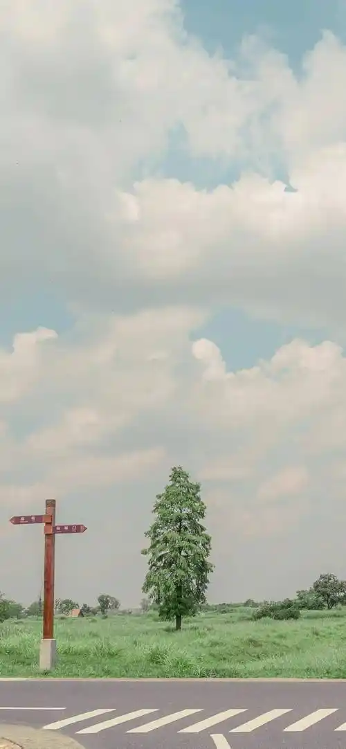 ins高质感冷淡风壁纸