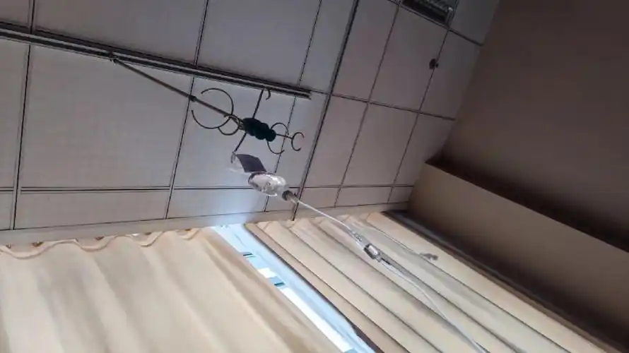 孕吐终于在扎针下缓解了